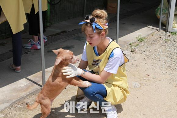 내추럴발란스 블루엔젤 봉사단, 이번엔 모델 에이전시 에스팀과 함께.