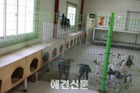 내추럴발란스 블루엔젤 봉사단, 이번엔 모델 에이전시 에스팀과 함께.