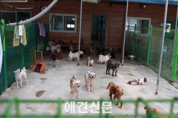 내추럴발란스 블루엔젤 봉사단, 이번엔 모델 에이전시 에스팀과 함께.