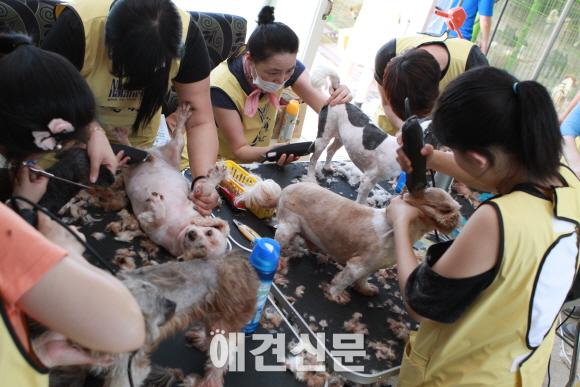 내추럴발란스 블루엔젤 봉사단, 이번엔 모델 에이전시 에스팀과 함께.