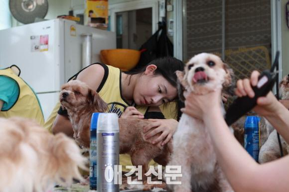 내추럴발란스 블루엔젤 봉사단, 이번엔 모델 에이전시 에스팀과 함께.