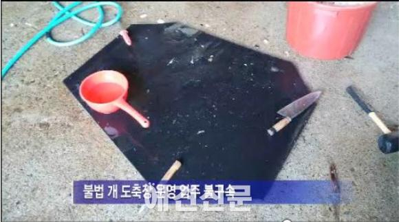 동물단체들도 두손 든 개고기 재래시장, SNS 통해 다시 수면위로..