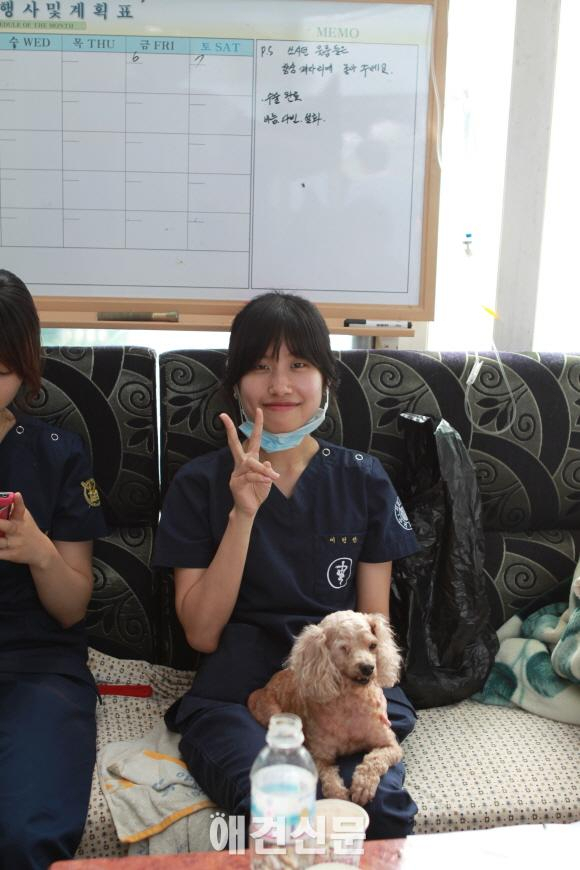 유기견 보호소 300마리 강아지의 행복한 보금자리, 주말마다 자원봉사 행렬