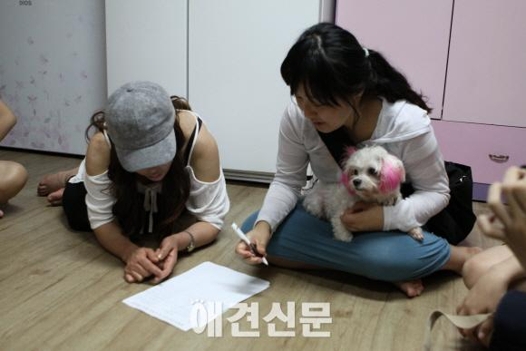 성남시 모란시장 주변, 불법 도축장 앞에서 시위와 서명운동..