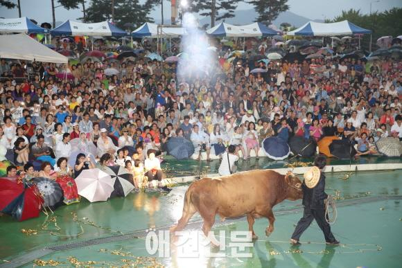 제 6회 개나소나 콘서트 개최, 올해도 아름다운 클래식 향연속으로..