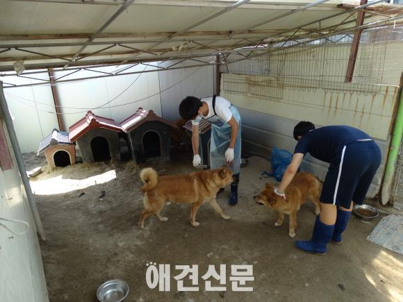 미안해, 고마워 현장체험방문단, 유기동물보호소 봉사활동 진행