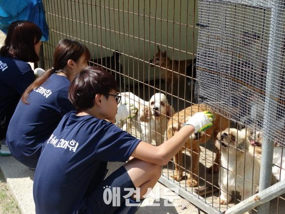 미안해, 고마워 현장체험방문단, 유기동물보호소 봉사활동 진행