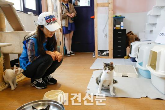 '패치코리아' 최강희·최필립·김민서, 동사실 땡큐센터 일일봉사