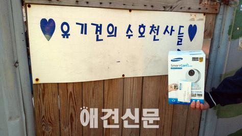 애견신문과 삼성테크윈의 유기견 보호소 후원캠페인4