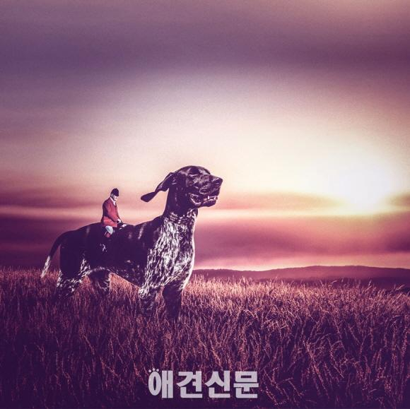 해외 유명 사진작가, 탄성을 자아내는 유기견 사진으로 모금