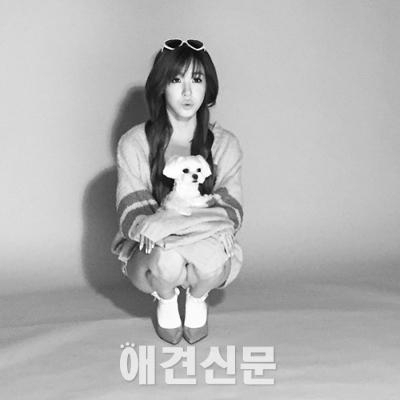 미녀스타들은 오늘도 애견사랑 가득 부럽다 견공