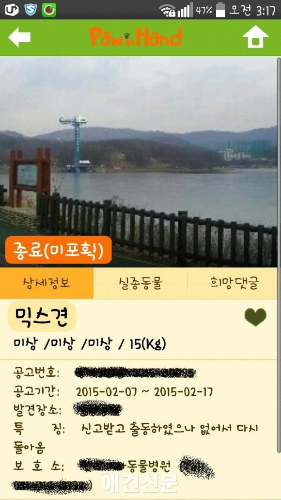 동물보호관리시스템, 동물 포획 사진에 풍경사진??