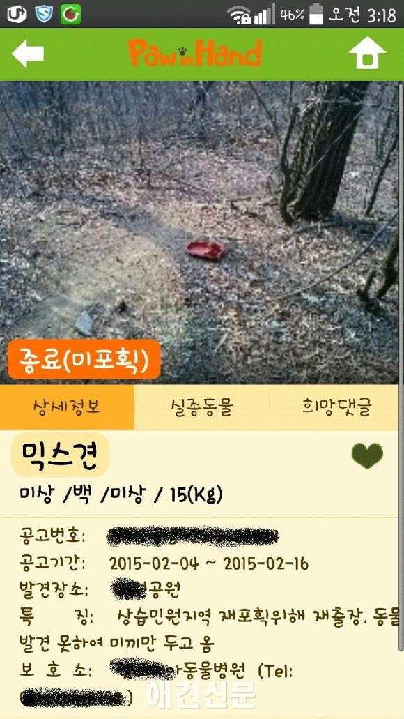 동물보호관리시스템, 동물 포획 사진에 풍경사진??