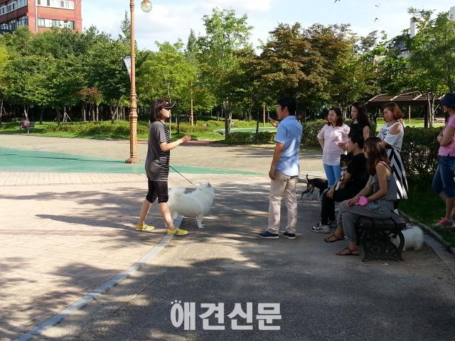 중구여성플라자, 4월1일부터 애견토탈매니저 양성과정 운영