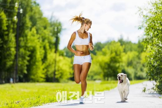 여름철, 자동차 속 개들이 위험해