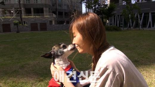 대표애견연예인 안혜경-양선일, '단짝'서 반려견들과 환상호흡 과시
