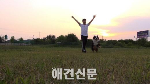 대표애견연예인 안혜경-양선일, '단짝'서 반려견들과 환상호흡 과시