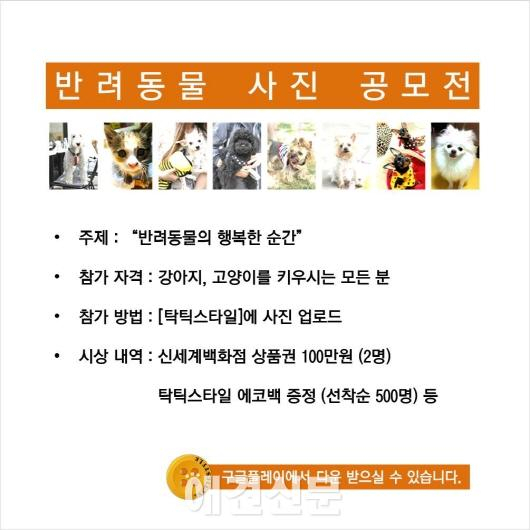 탁틱스타일, 반려동물의 사진을 이용하여 토너먼즈 경기 출전