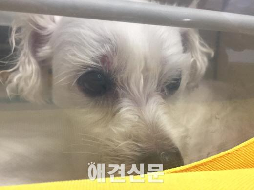 포대자루 담겨 생매장 당한 아이, 현재 근황은...