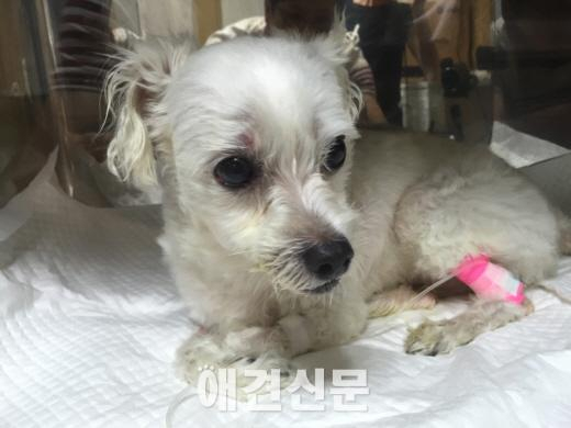 포대자루 담겨 생매장 당한 아이, 현재 근황은...