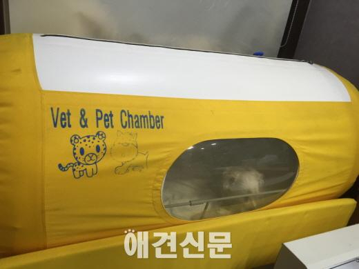 포대자루 담겨 생매장 당한 아이, 현재 근황은...