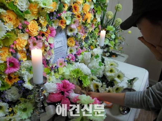 반려동물 장례 서비스 '잠든강아지' , 대한노인회 취업지원센터 통해 일자리 제공