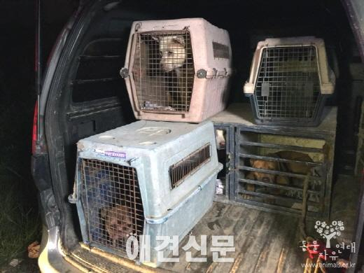 동물자유연대, 경남 함안경찰과 불법 투견 도박 용의자 29명 검거