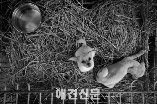 김삼열 작가의 포토에세이 #1 '빈자리'