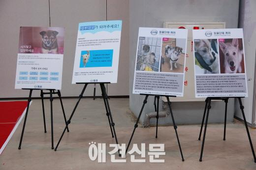 제3회 부산국제반려동물산업 박람회(BICAS2015) 이모저모