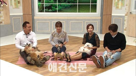 구지성, 반려견들과 마이펫상담소 방문 알고 보니 로열패밀리?