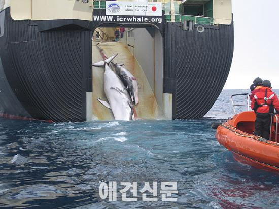 어나니머스, 일본을 공격하다
