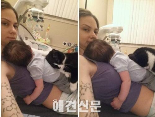 동생 지키는 '고양이 판다'