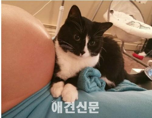 동생 지키는 '고양이 판다'