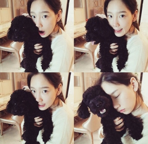 소녀시대 태연 반려견 진져, 깜찍한 '코러스 능력견'