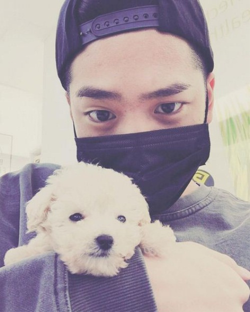 B1A4 바로, 새로운 가족 '율무' 공개