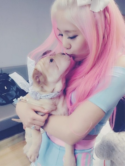 AOA 혜정 반려견 쭈쭈 너무 귀엽죠