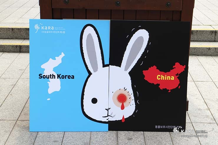 카라, 중국대사관에 화장품동물실험 금지요청 서한 전달