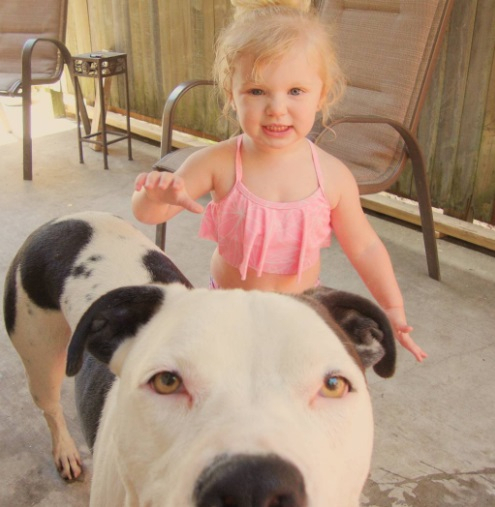 소녀와 개의 아름다운 우정