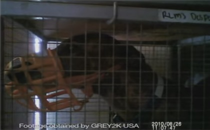 미국 애리조나, 개 경주 금지 법안 통과