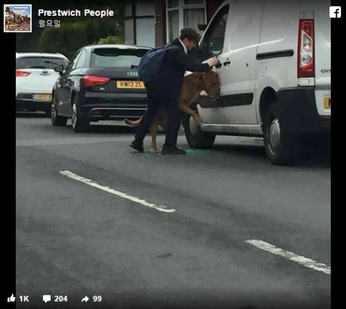 뜨거운 차안에 갇힌 개를 구한 소년
