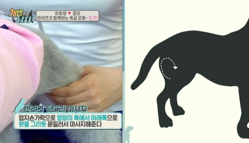 '개 밥 주는 남자', 반려견과 함께하는 요가 소개