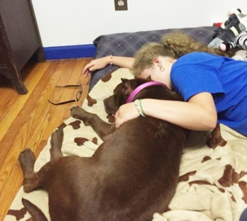 시한부 개를 입양한 가족