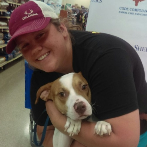 '유기동물 보호소 닫기' 프로젝트…텅텅 빈 보호소