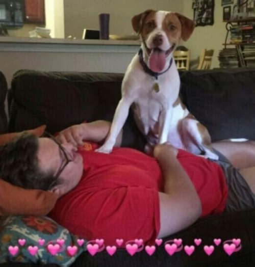 '유기동물 보호소 닫기' 프로젝트…텅텅 빈 보호소