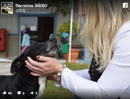 죽은 주인을 8개월동안 기다린 개