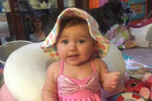 화염 속 아이를 구하고 세상을 등진 반려견