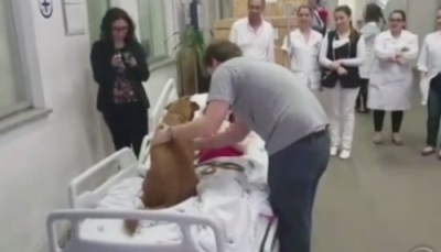 죽음을 앞둔 주인의 품으로 달려든 반려견