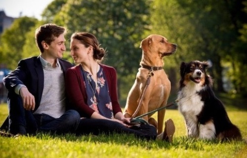 여행지에서 일어난 운명같은 반려견과 반려인의 사랑