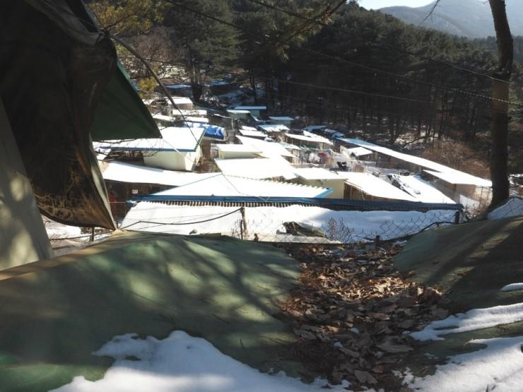 유기동물 안식처 '포천 애신동산', 토지문제로 사라질 위기