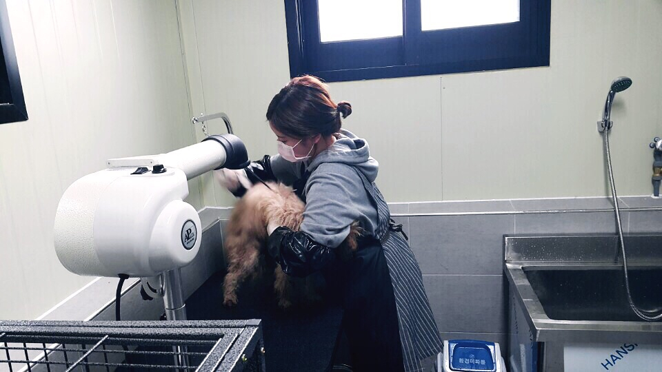 당진시, 동물보호소 개관